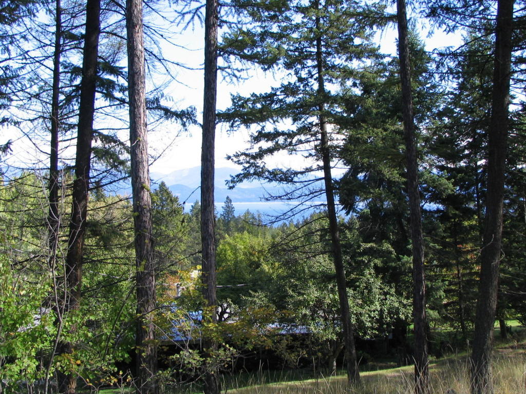 393 Skookum Road, Lakeside, MT 59922