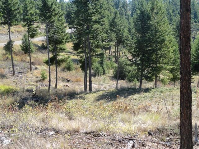 82 Hyden Ridge Road, Lakeside, MT 59922
