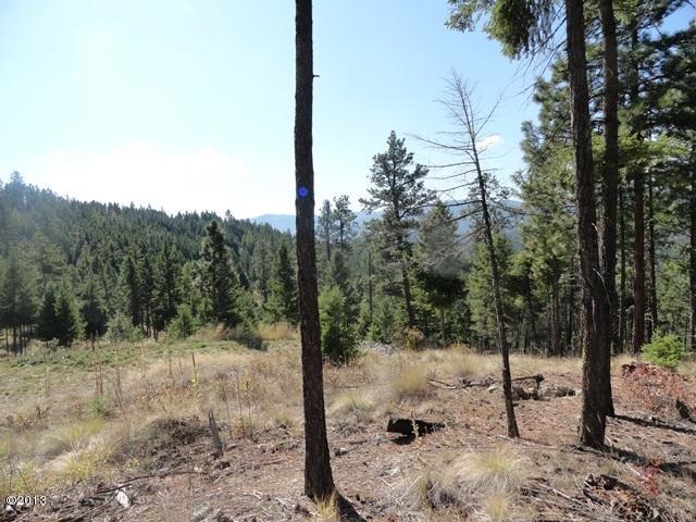 82 Hyden Ridge Road, Lakeside, MT 59922