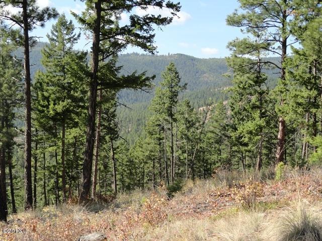 82 Hyden Ridge Road, Lakeside, MT 59922
