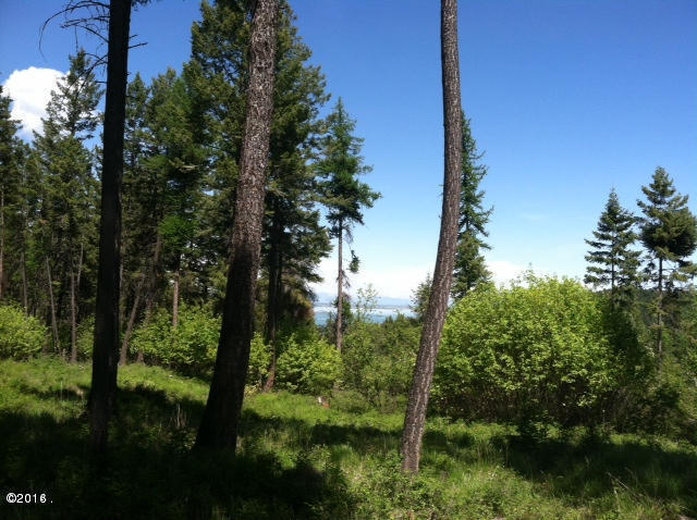 Nhn Us Highway 93 South, Lakeside, MT 59922