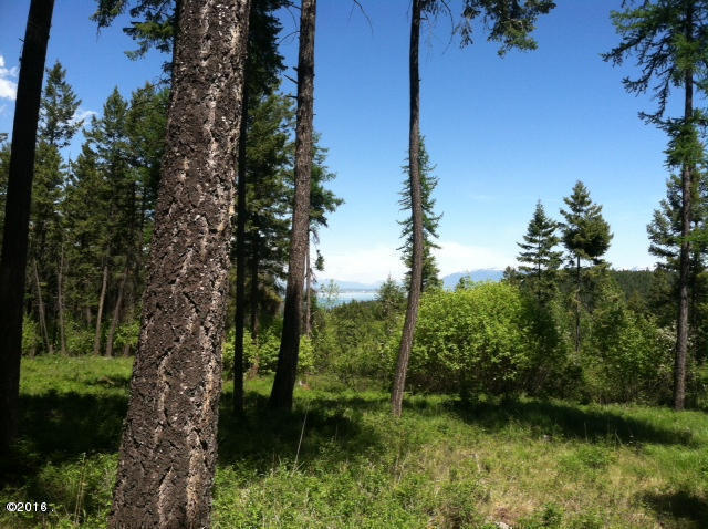 Nhn Us Highway 93 South, Lakeside, MT 59922