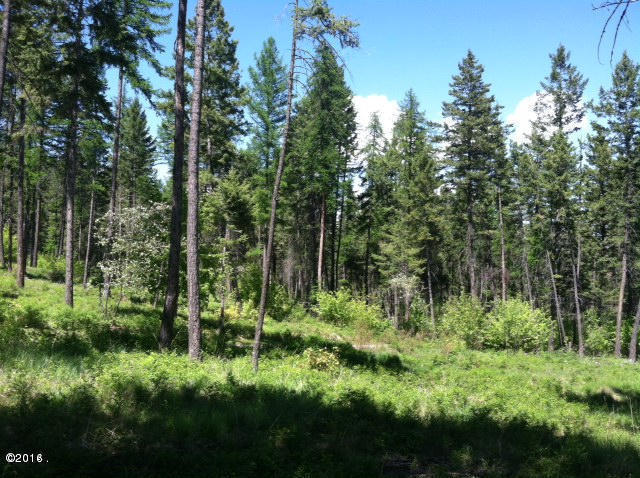 Nhn Us Highway 93 South, Lakeside, MT 59922