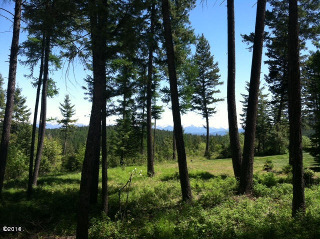 Nhn Us Highway 93 South, Lakeside, MT 59922