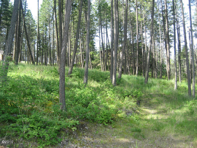 822 Angel Point Road, Lakeside, MT 59922