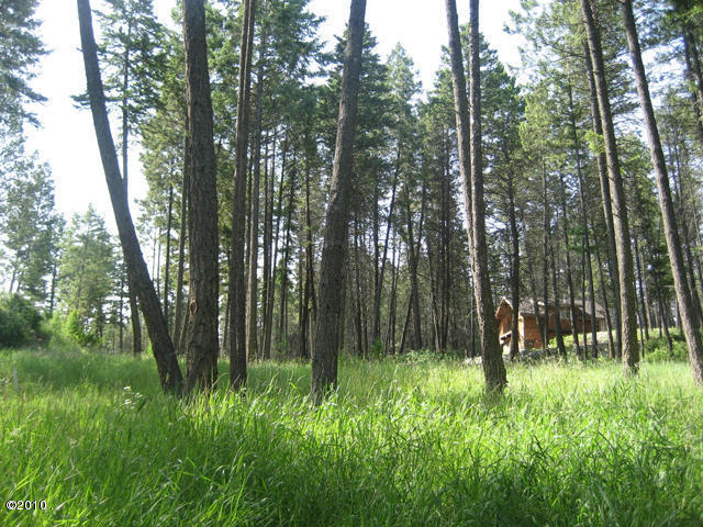 822 Angel Point Road, Lakeside, MT 59922