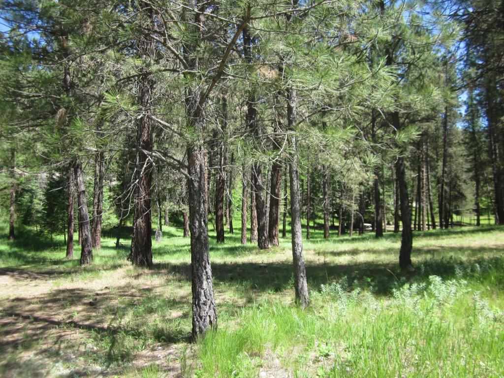 TBD Warren Road, Libby, Other, MT 59923