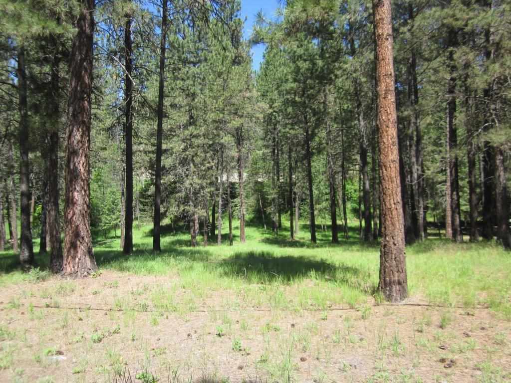 TBD Warren Road, Libby, Other, MT 59923