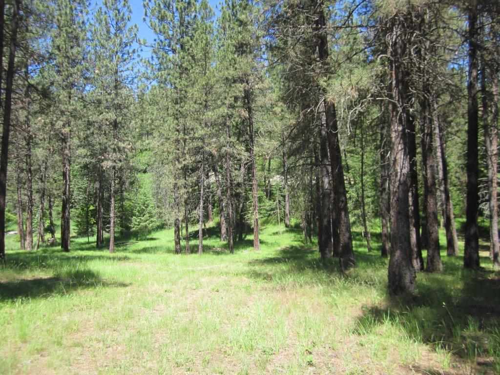 TBD Warren Road, Libby, Other, MT 59923