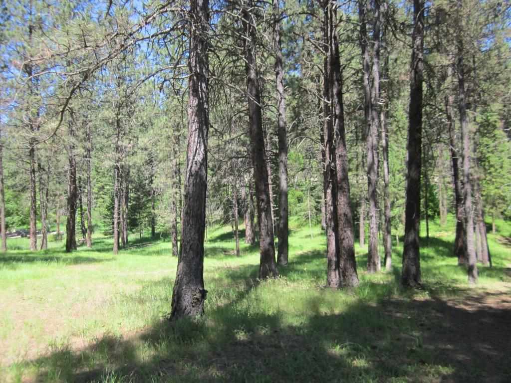 TBD Warren Road, Libby, Other, MT 59923