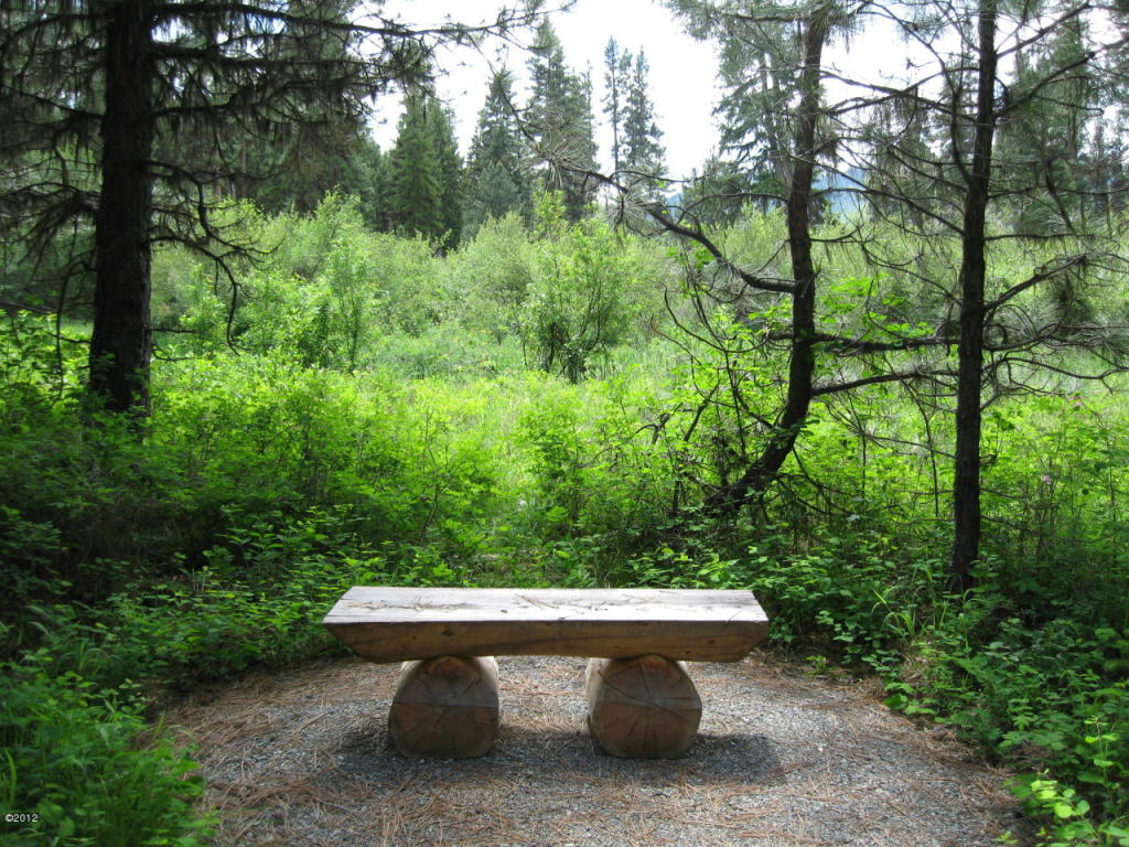 Lot 19 Parkside At Fisher River, Libby, MT 59923