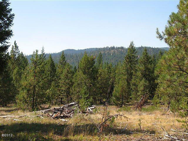 Lot 6 Parkside At Fisher River, Libby, MT 59923
