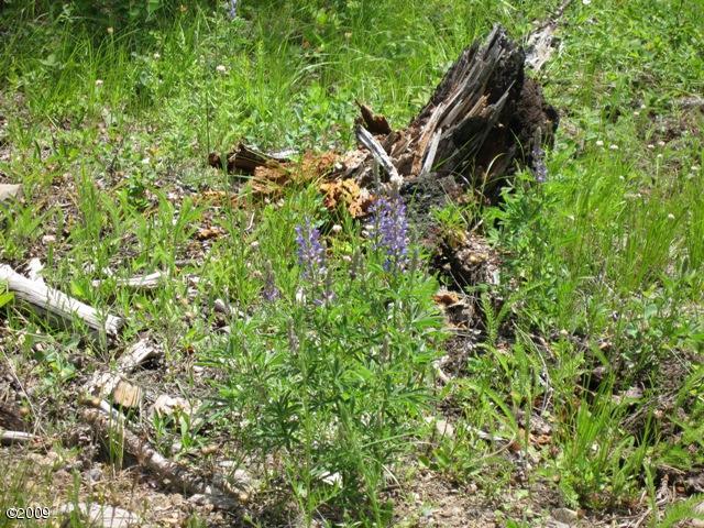 Lot 36 Parkside At Fisher River, Libby, MT 59923