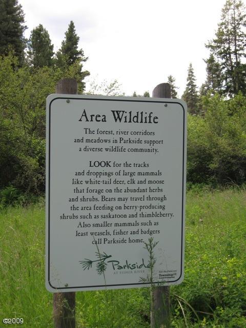Lot 3 Parkside At Fisher River, Libby, MT 59923