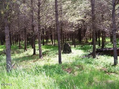 Nhn Mcginnis Meadows Road, Libby, MT 59923