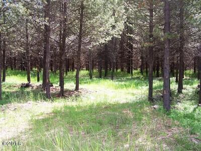 Nhn Mcginnis Meadows Road, Libby, MT 59923