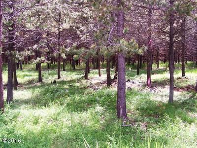Nhn Mcginnis Meadows Road, Libby, MT 59923