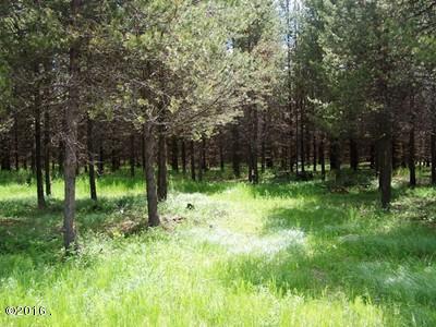 Nhn Mcginnis Meadows Road, Libby, MT 59923