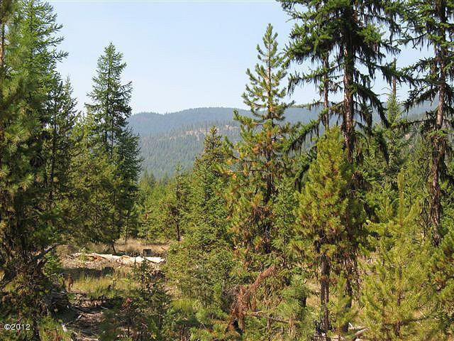 Lot 38 Parkside At Fisher River, Libby, MT 59923