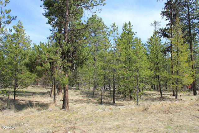 1193 Homesteaders Way, Marion, MT 59925