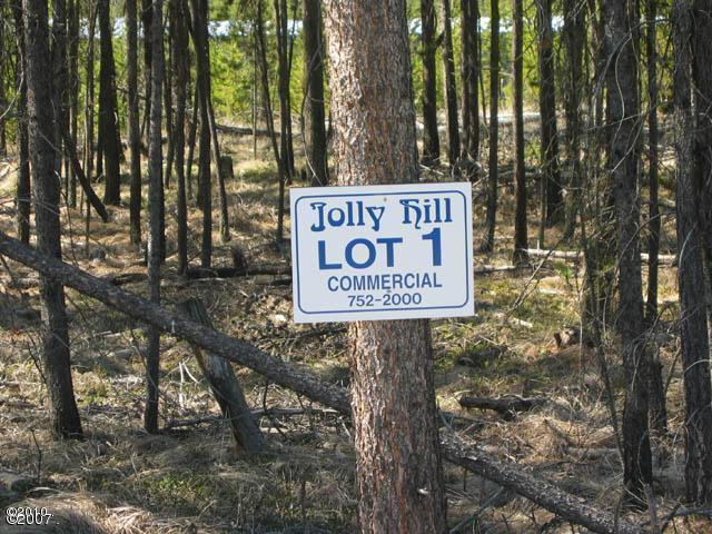 71 Jolly Hill, Marion, MT 59925