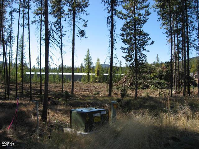 71 Jolly Hill, Marion, MT 59925