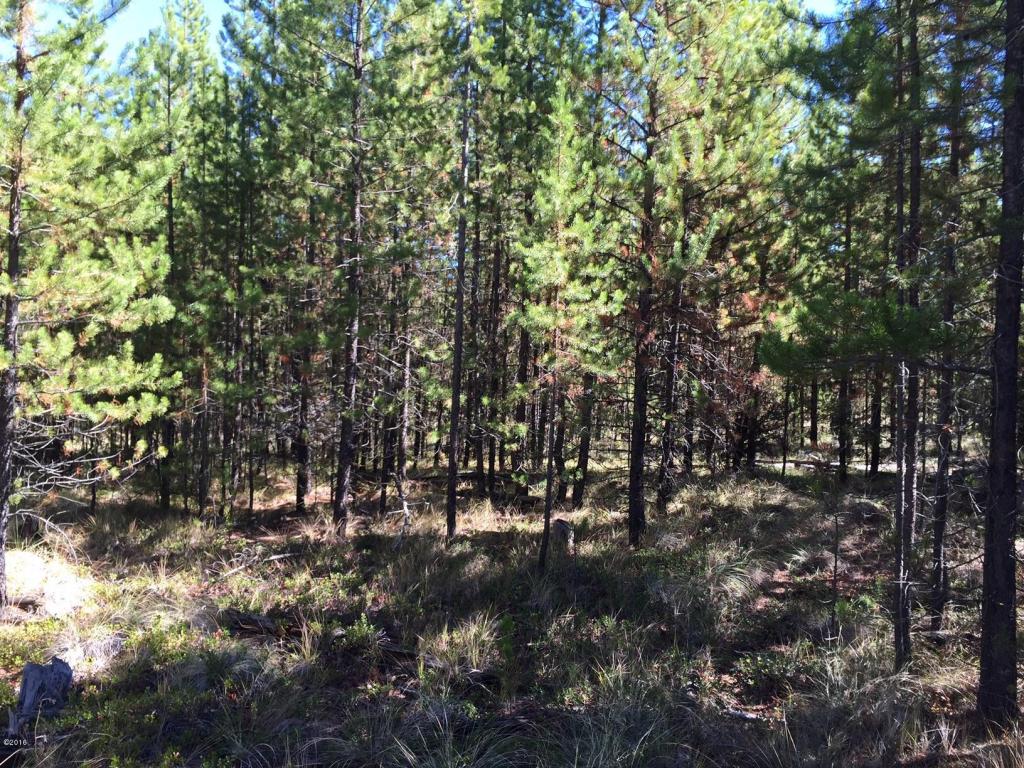1101 Marion Hubbart Spur, Marion, MT 59925