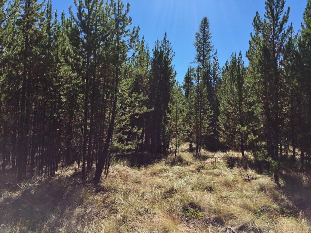 1101 Marion Hubbart Spur, Marion, MT 59925