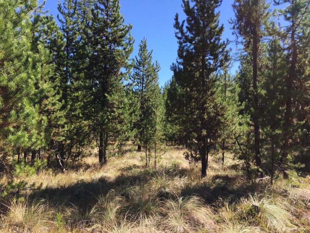 1127 Marion Hubbart Spur, Marion, MT 59925