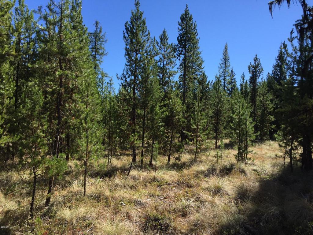 1127 Marion Hubbart Spur, Marion, MT 59925