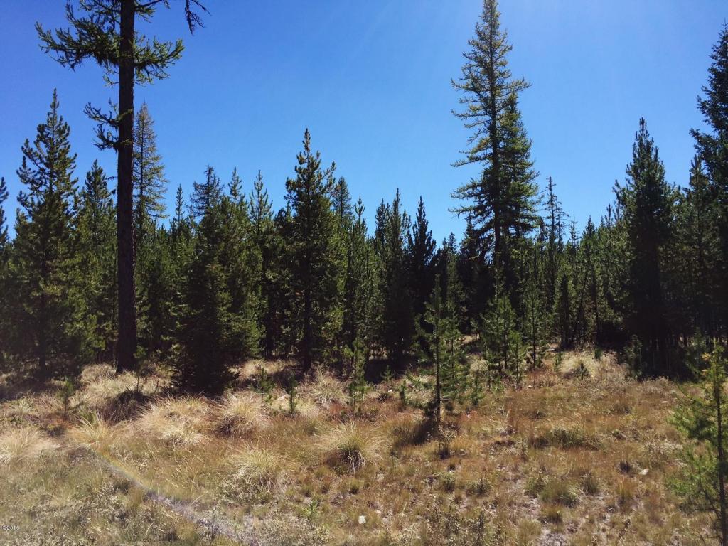 1127 Marion Hubbart Spur, Marion, MT 59925