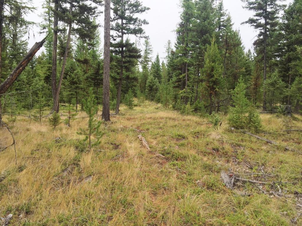 1252 Marion Hubbart Spur, Marion, MT 59925