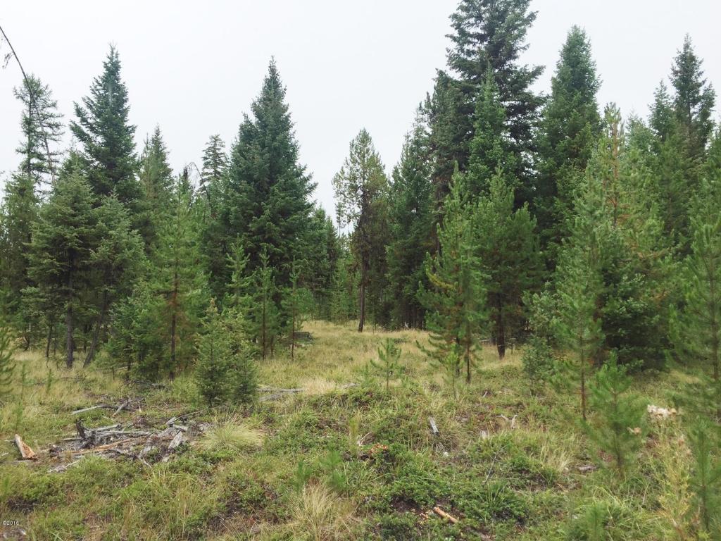 1252 Marion Hubbart Spur, Marion, MT 59925