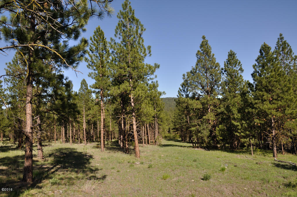 3462 Hubbart Dam Road, Marion, MT 59925