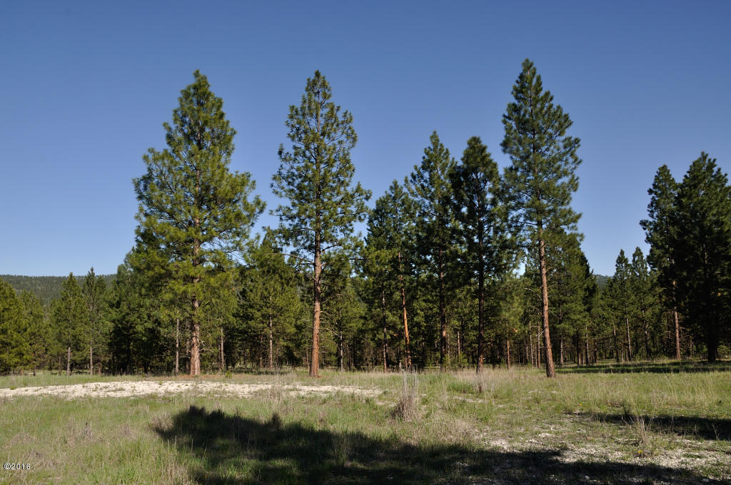 3462 Hubbart Dam Road, Marion, MT 59925