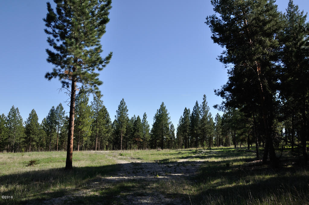 3462 Hubbart Dam Road, Marion, MT 59925