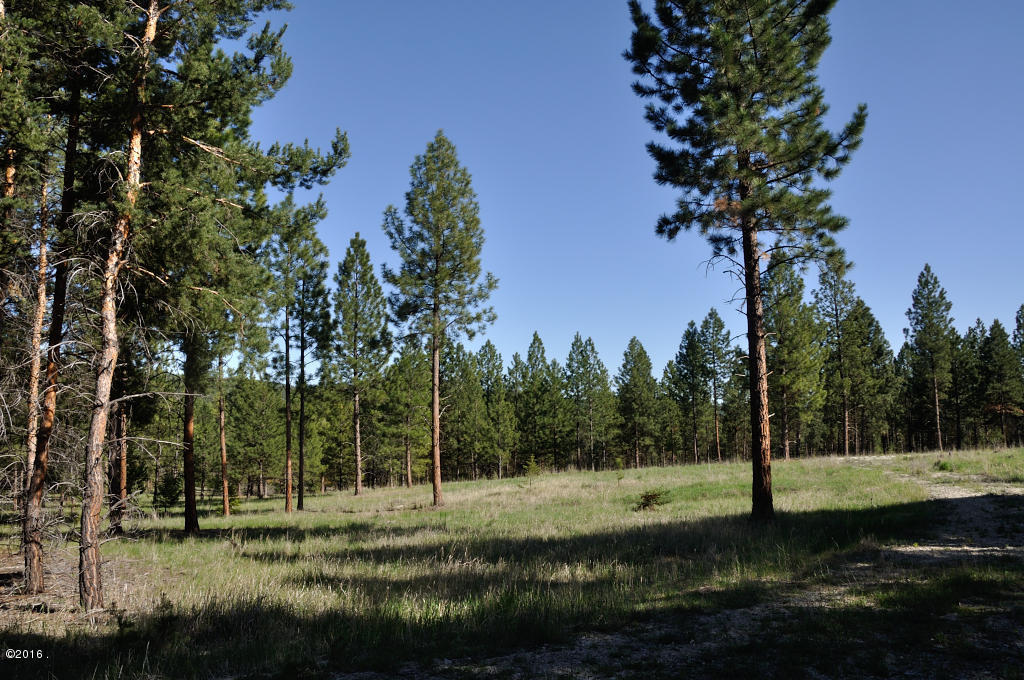3462 Hubbart Dam Road, Marion, MT 59925