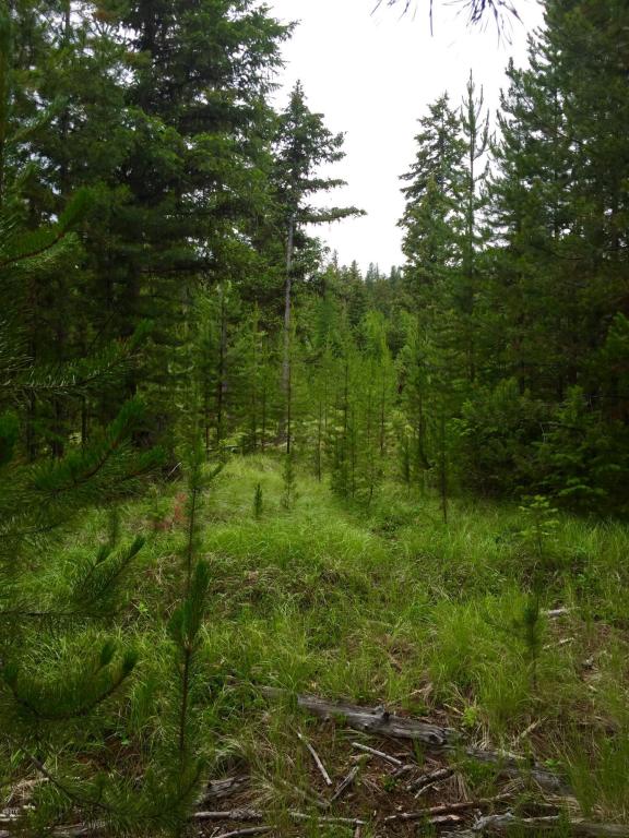 1230 Marion Hubbart Spur, Marion, MT 59925