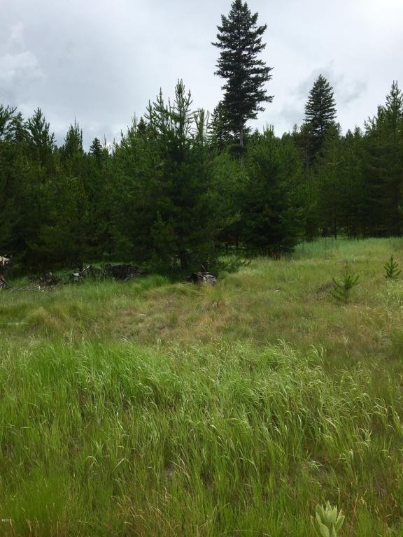 1230 Marion Hubbart Spur, Marion, MT 59925