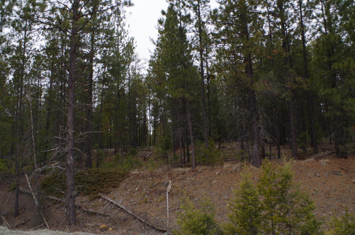 Nhn Us Highway 2 West, Marion, MT 59925