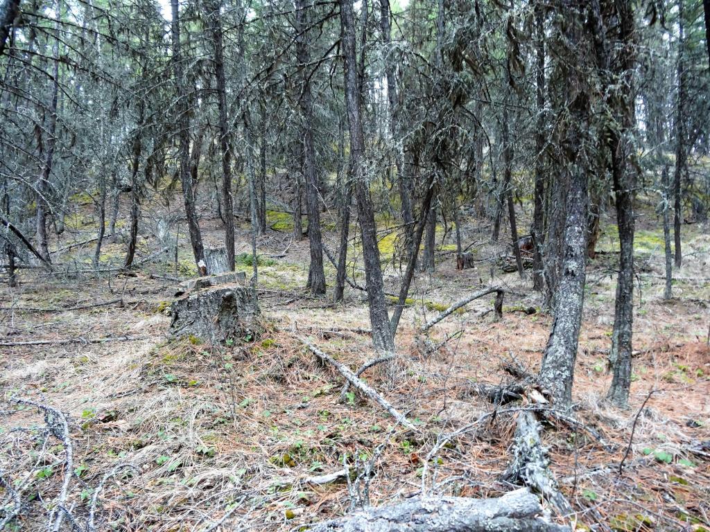 Nhn Twin Lake Heights Road, Rexford, MT 59930