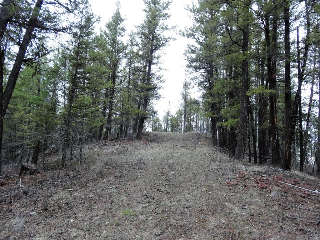 Nhn Twin Lake Heights Road, Rexford, MT 59930
