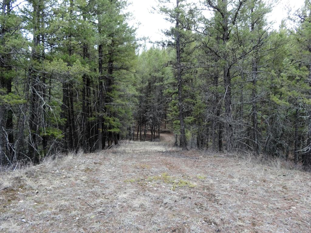 Nhn Twin Lake Heights Road, Rexford, MT 59930