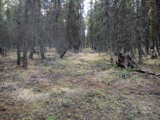 nhn Enchanted Way, Rexford, MT 59930