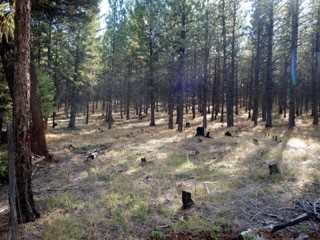 nhn Enchanted Way, Rexford, MT 59930