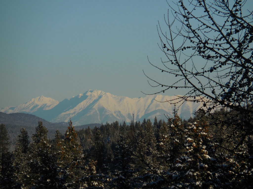 Lot 2 Annerly Ferry Road, Rexford, MT 59930