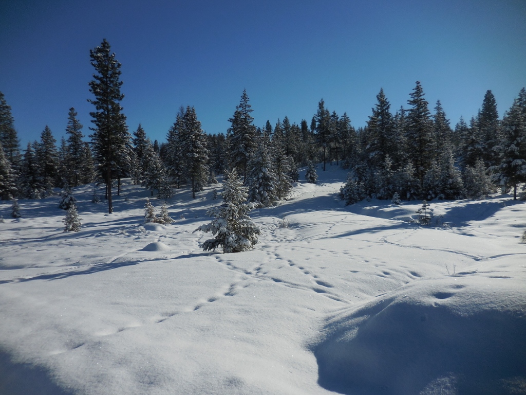 Lot 2 Annerly Ferry Road, Rexford, MT 59930