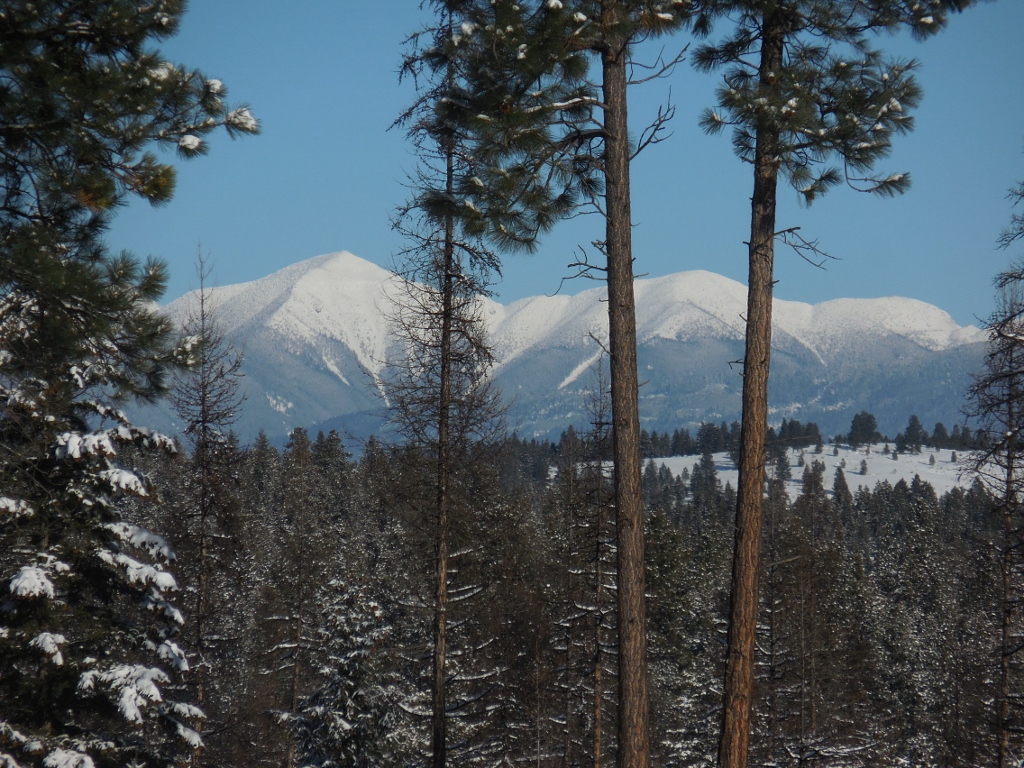 Lot 2 Annerly Ferry Road, Rexford, MT 59930