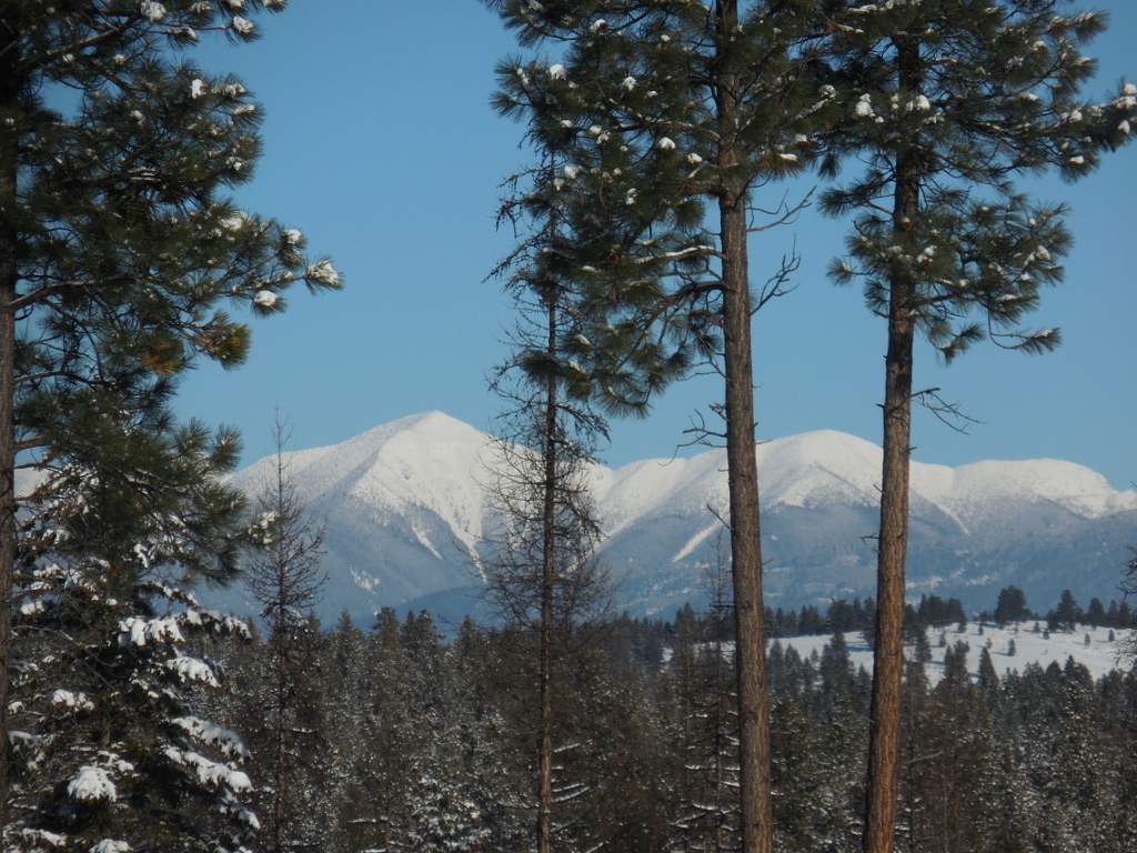 Lot 2 Annerly Ferry Road, Rexford, MT 59930