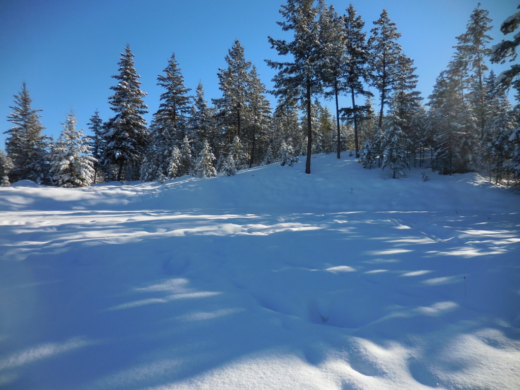 Lot 2 Annerly Ferry Road, Rexford, MT 59930